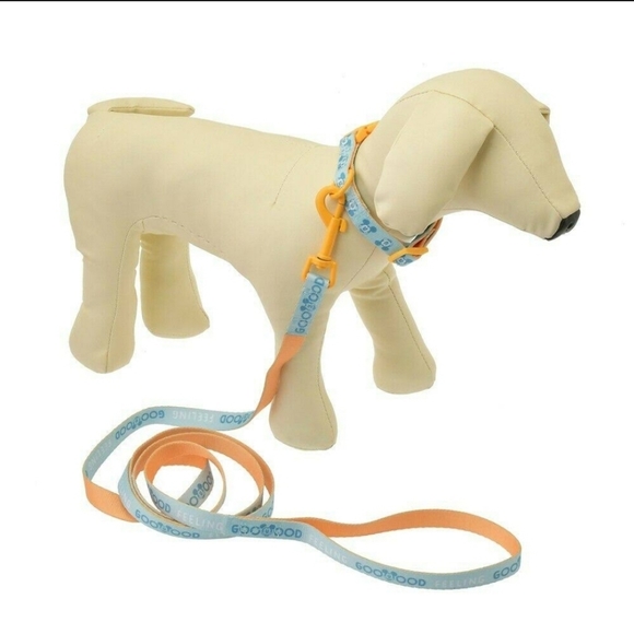 DisneyParks Mickey Mouse Dog Collar And Lead GOOD FEELING Yellow Blue Large NWT - Picture 10 of 11